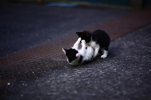 结婚周年老婆给男助理买游艇蓝茵梁超刘健免费章节试读