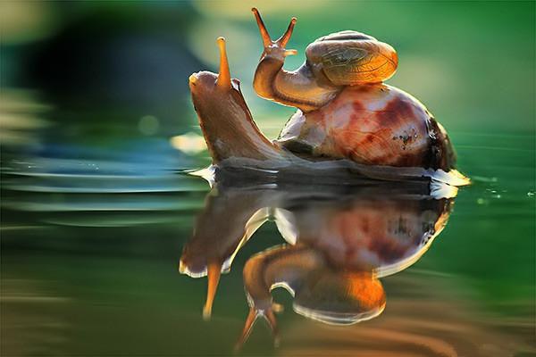 沈南汐傅景行小说 沈南汐傅景行免费全文阅读