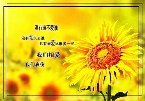 【完整版】（宋先生，你是我的小说宋听澜颜子满）精彩小说全本资源免费阅读结局无删节_宋听澜颜子满全章节阅读