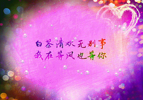 被女帝退婚后，我一秒获得至尊骨微信公众号内阅读 苏九歌白若雪大结局介绍