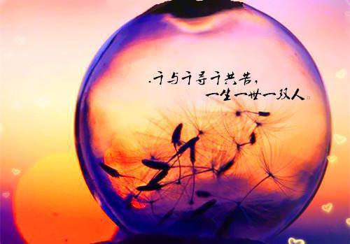 贺洛初霍明州免费全本小说 贺洛初霍明州章节目录