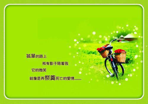 沈卿云凌渊免费小说 沈卿云凌渊在线阅读