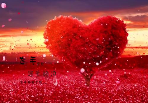 谢安阿挽大结局是什么 王氏阿挽之风起平原小说无弹窗阅读