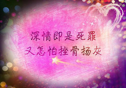 上一世我被未婚夫害***，重生后我首先成全他和白月光免费阅读沈沐洛音白鹂小说第3章