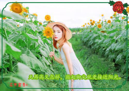 方幼萍蒋理承完整未删减版在线阅读 方幼萍蒋理承结局