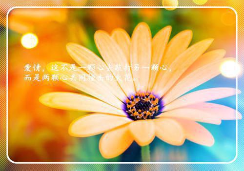 林凌傅辰曲情免费小说 林凌傅辰曲情完结版在线阅读