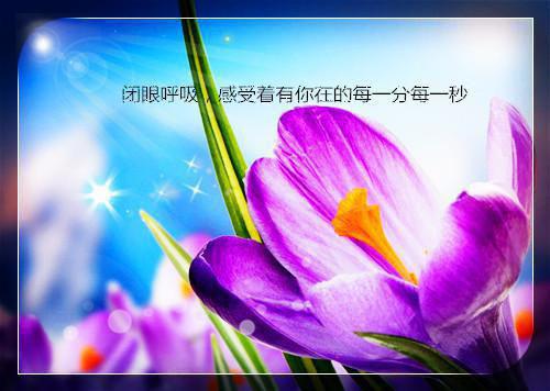 言情：豪门渣女的作精日记裴继砚秦栀完整版小说全文章节app内免费阅读