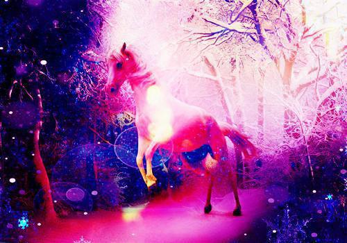 黎语陆珺琛小说 黎语陆珺琛完整版免费阅读