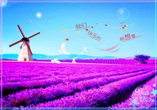 沈初宜林浅浅（重生后手撕装千金的白眼狼）全文免费阅读无弹窗大结局_沈初宜林浅浅最新章节列表（重生后手撕装千金的白眼狼）