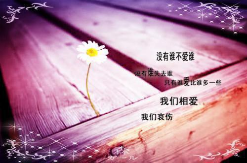 （王府丫鬟）最新免费小说大结局-小说王府丫鬟夏莲衣蒋清曲全文免费在线阅读