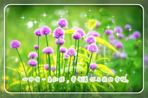 主角顾城谢莹小说免费阅读最新章节