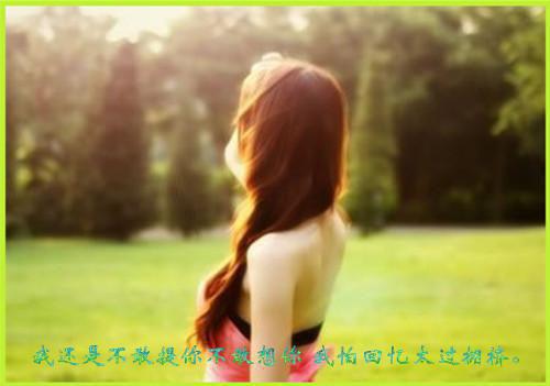 宋锦棠顾嘉临免费章节最新 被前任的现任污蔑成小三后，我杀疯了by顾嘉临