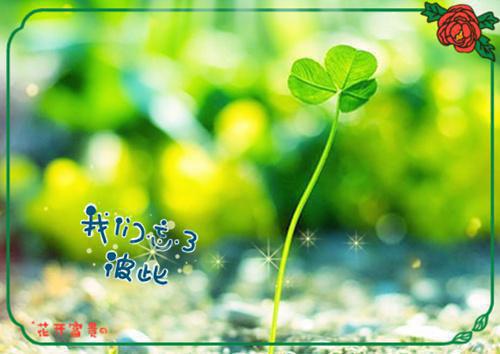 林琳主角的书 被读心后,假千金带全家炮灰改命全文阅读免费