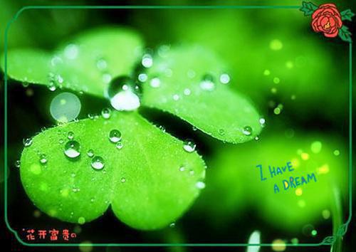 李伟孙玲玲雯雯是什么小说 李伟孙玲玲雯雯全本免费阅读