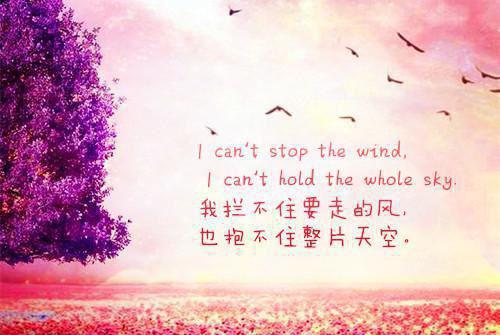 陈书大结局是什么 师姐，你也不想秘密被人知道吧？小说全文阅读