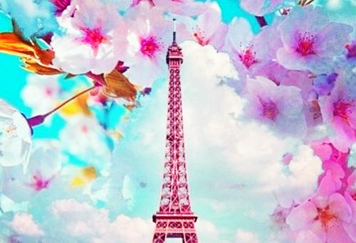 花花王朗免费全本小说 花花王朗章节目录