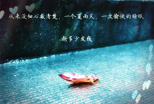 霍明远苏青完整未删减版在线阅读 霍明远苏青结局