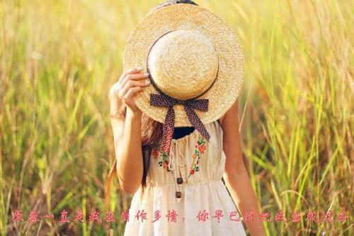 顾川苍舒月免费阅读第23章 顾川苍舒月大结局