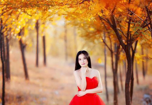 宁宁贺萧免费全本小说 宁宁贺萧章节目录