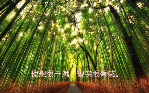 孟桐惜沈尘萧最新章节免费 孟桐惜沈尘萧第3章在线阅读