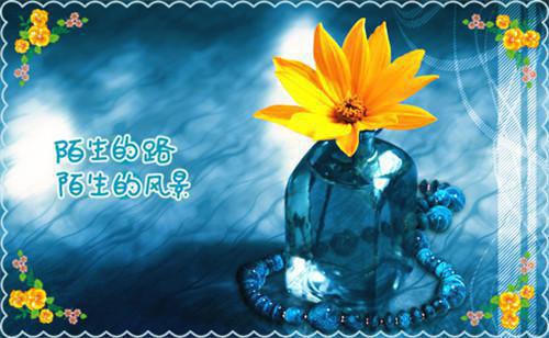 主角是夏安瑜陆靳择的小说免费阅读全文大结局