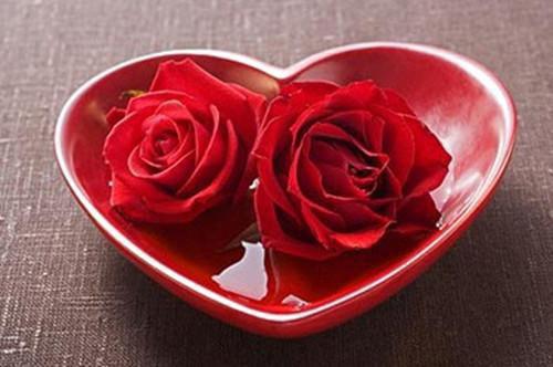 沈斯年时宁免费小说 沈斯年时宁全文阅读目录