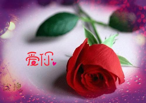 李翠花元宸完整版 李翠花元宸小说全文在线阅读