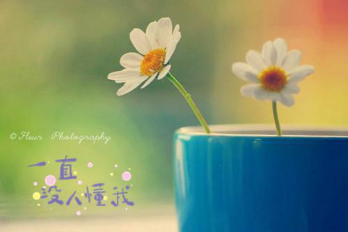 《结婚四十年,我因为饺子醋提了离婚》最新章节无弹窗by佚名全本资源在线阅读