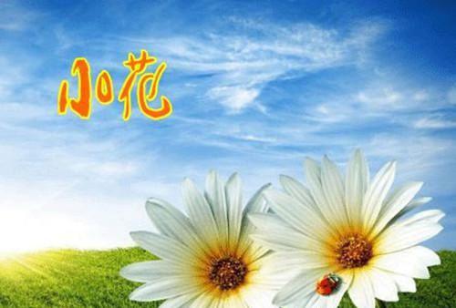 情敌失忆后，竟非要和我么么哒小说结局在线阅读 陈泽黄城南章节列表