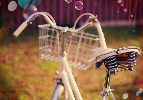 娇妻妈妈砸了贵人家后，爸爸疯了全集免费阅读 娇妻妈妈砸了贵人家后，爸爸疯了未删节小说