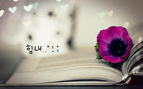 萧宁玉战北寒免费全本小说 萧宁玉战北寒章节目录