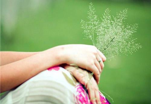 王磊顾芳小说全免读 王磊顾芳第1章在线阅读