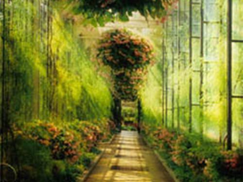 傅宁安卿然叶辰川小说最新章节 爱会消逝在线看