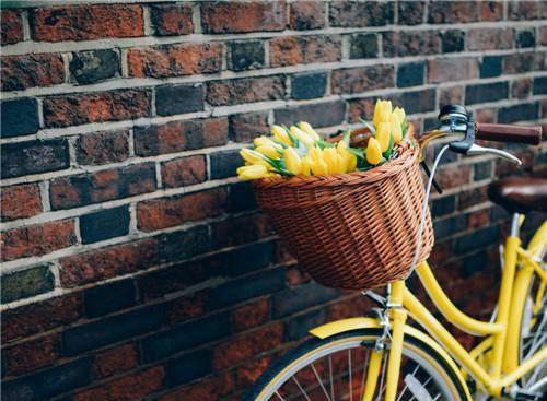 男女主角是疯女人的小说 疯女人全文免费阅读