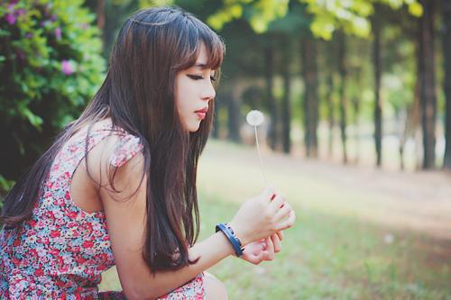 沈清欢宋怀瑾苏甜甜小说最后结局 沈清欢宋怀瑾苏甜甜完结版免费阅读