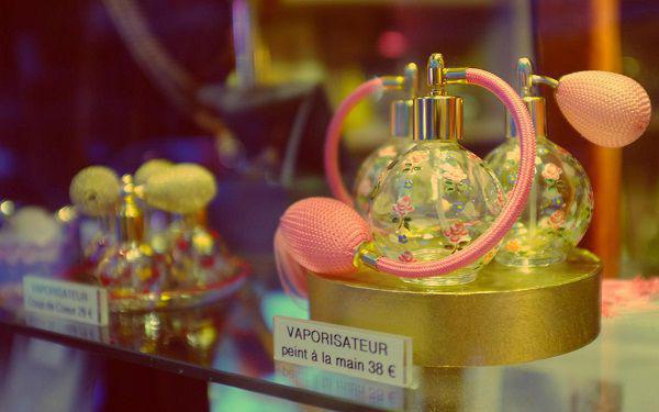 (抖音小说)顾准郑然张逢源苏安澜免费阅读第1章