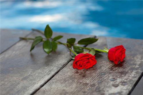 书穿小炮灰务必改写好结局顾小溪陆建森小说(完整)免费阅读