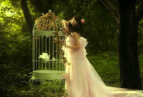 宋玮乔悦傅恒免费阅读小说 宋玮乔悦傅恒第2章