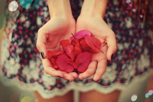 袁漉言韩轩贺全文最新章节正版小说免费阅读