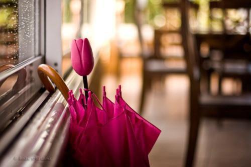 空霉贩卖小说全文免费阅读(浮槎童紫川)全文免费浮槎童紫川读无弹窗大结局_(空霉贩卖小说浮槎童紫川)空霉贩卖小说免费浮槎童紫川读无弹窗最新章节列表(浮槎童紫川)