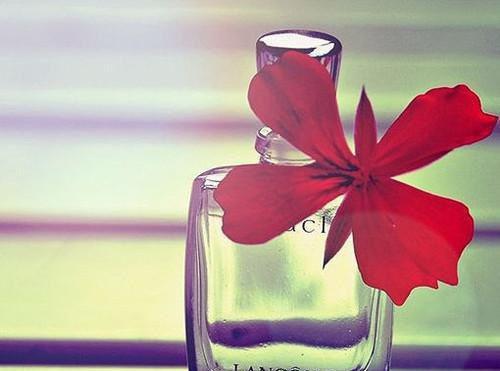 (抖音小说)宋文浩叶清清免费阅读第4章