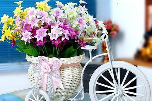 完本小说《马上红妆》楚月澜章鉴卢枝枝全文免费阅读