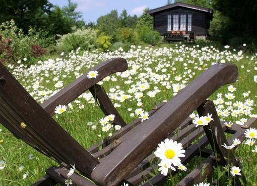 林沐瑶贺瑾舟夏晚柠全文阅读最新 林沐瑶贺瑾舟夏晚柠小说目录