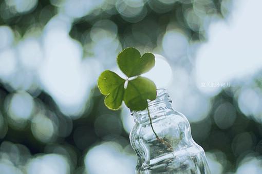 许意晚梁书安（许意晚梁书安无弹窗）全文免费阅读无弹窗大结局_许意晚梁书安最新章节列表（许意晚梁书安无弹窗）