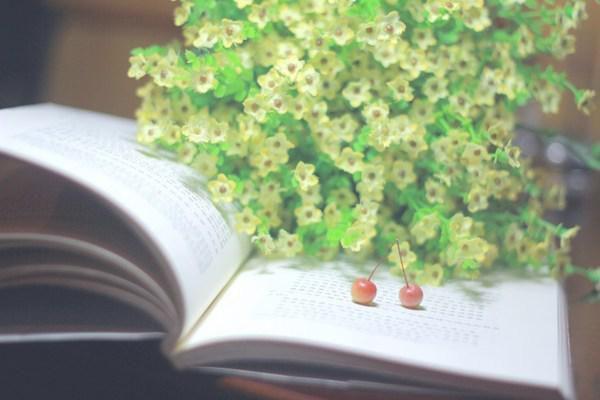 慕姚顾铭路扬小说免费 慕姚顾铭路扬第3章在线阅读