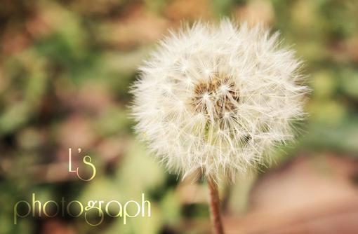 冷宁雪赵氿渊完整版 冷宁雪赵氿渊小说全文在线阅读