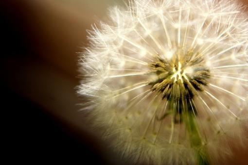 穿成孩子妈奋斗成赢家（简詹言苏浅）全文免费阅读无弹窗_穿成孩子妈奋斗成赢家完整版最新阅读（简詹言苏浅）