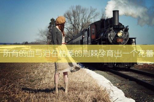 陆景舟王伊伊全文免费阅读最新 陆景舟王伊伊第四章