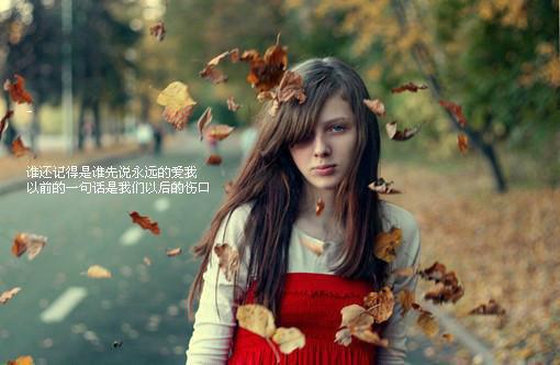 刘爱林赵瑶全文免费 刘爱林赵瑶在线阅读