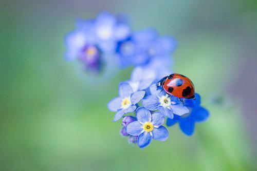 (抖音小说)董轩董萍小说全文阅读免费